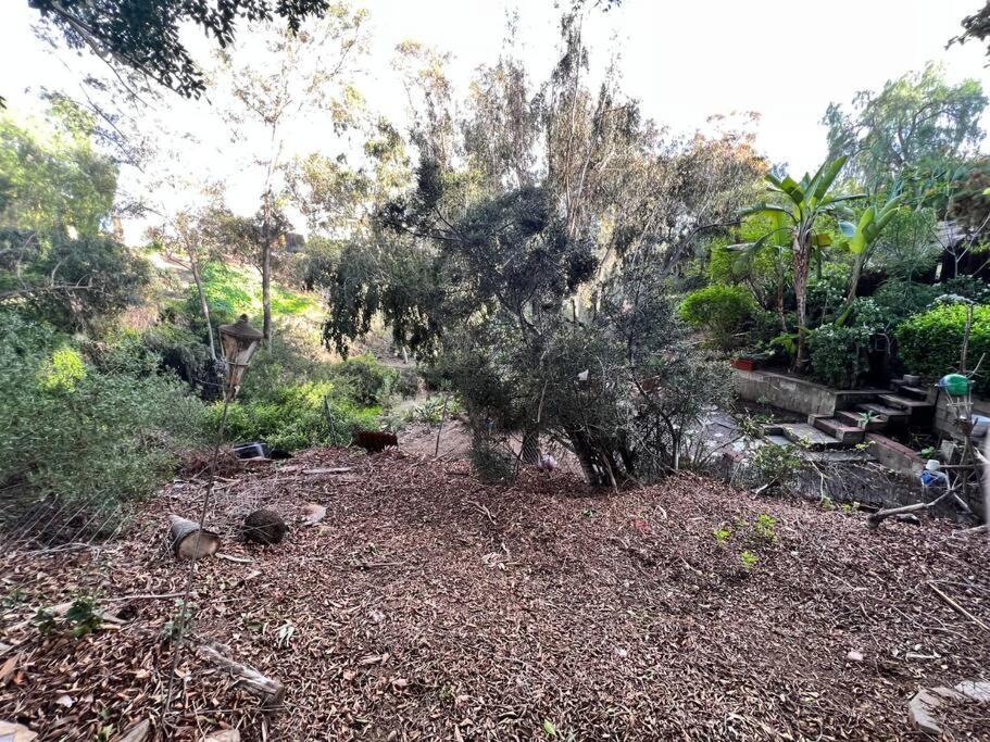 Central San Diego Lower Duplex, Huge Yard, Fenced Exterior foto